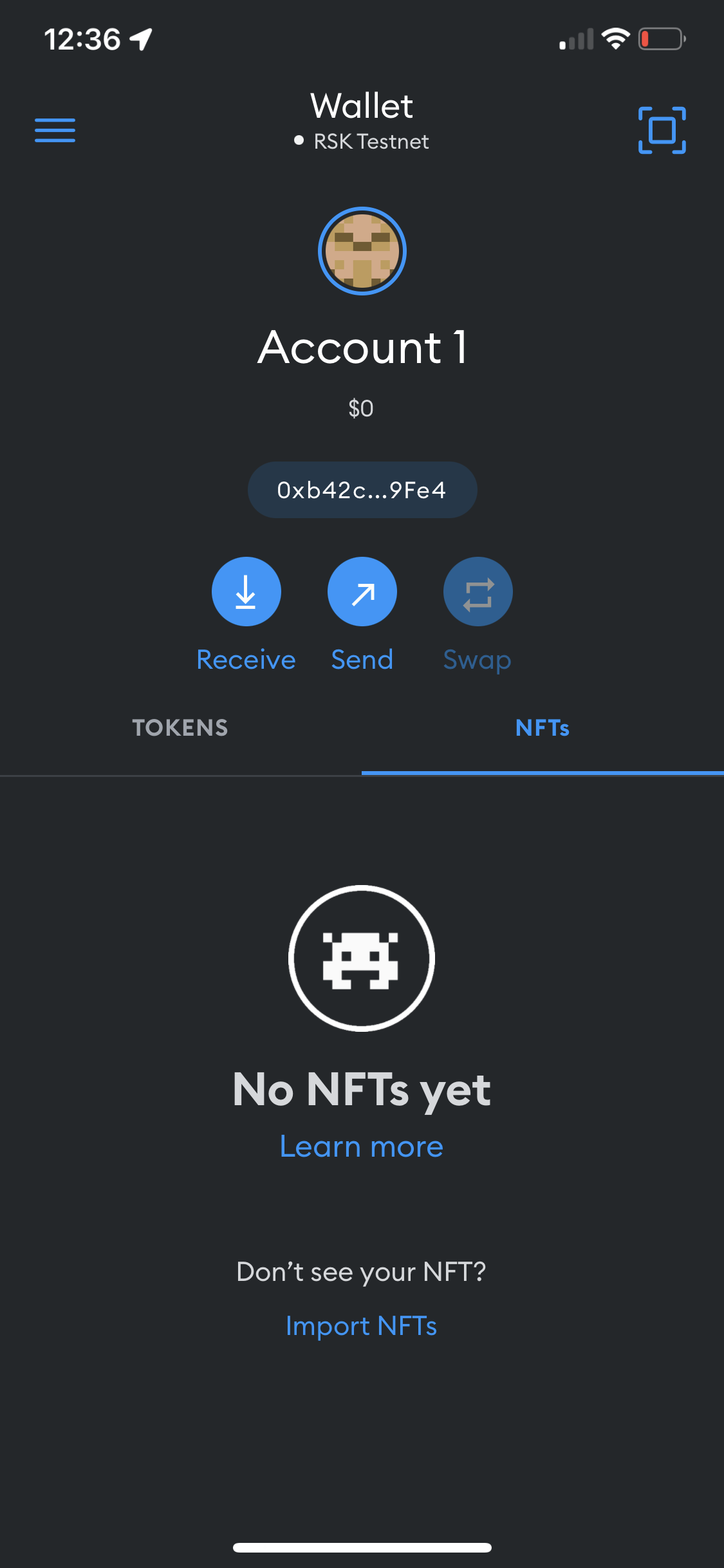 MetaMask screenshot before adding NFT collection